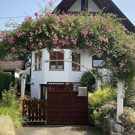 Dalea Daire Bad Waldsee Dış mekan fotoğraf